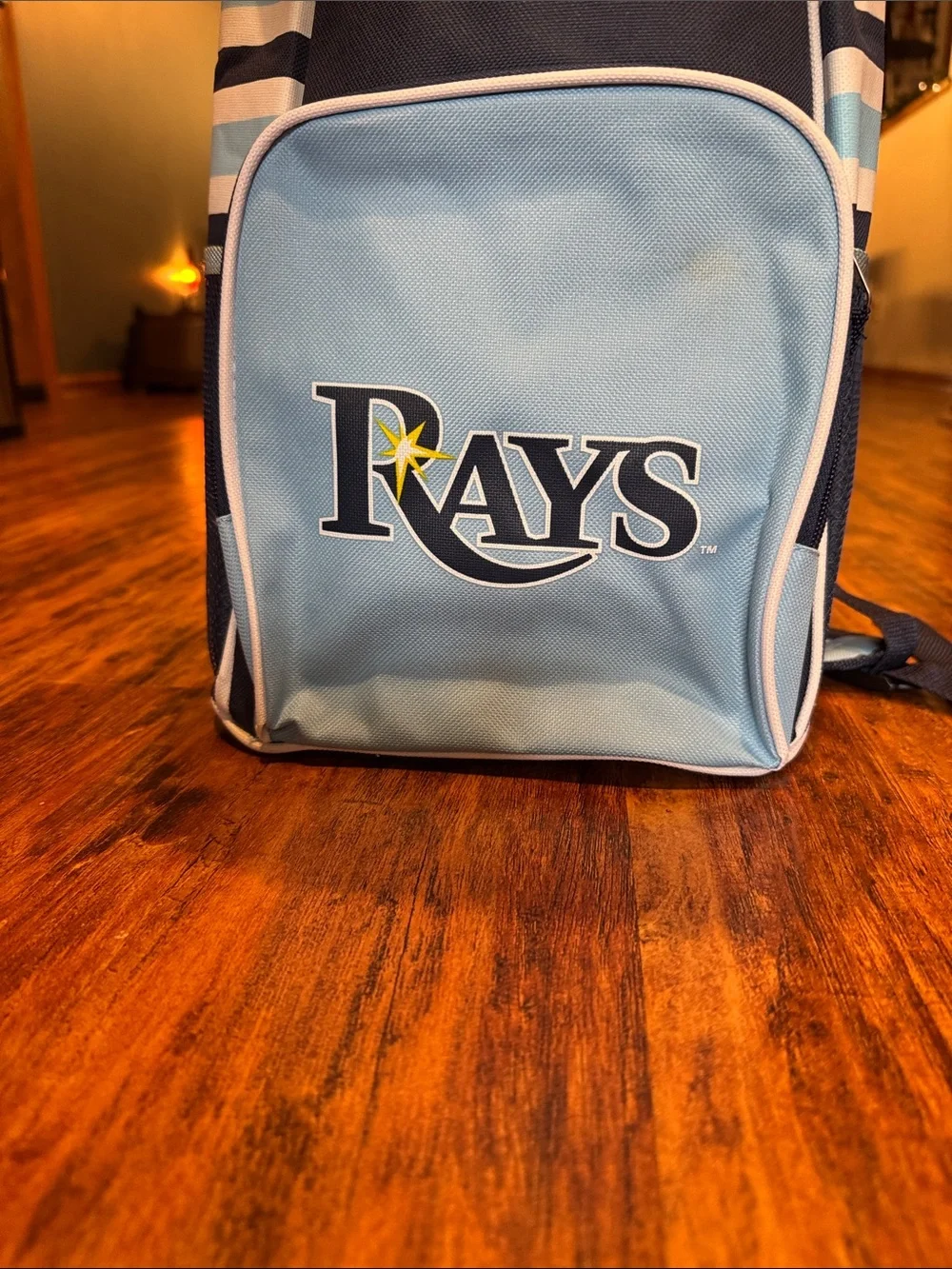 Rays Baseball Cooler Backpack